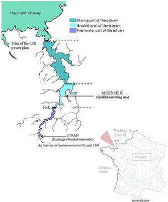 Antimicrobial Susceptibility among Urban Wastewater and Wild Shellfish Isolates of Non-O1/Non-O139 Vibrio cholerae from La Rance Estuary (Brittany, France)